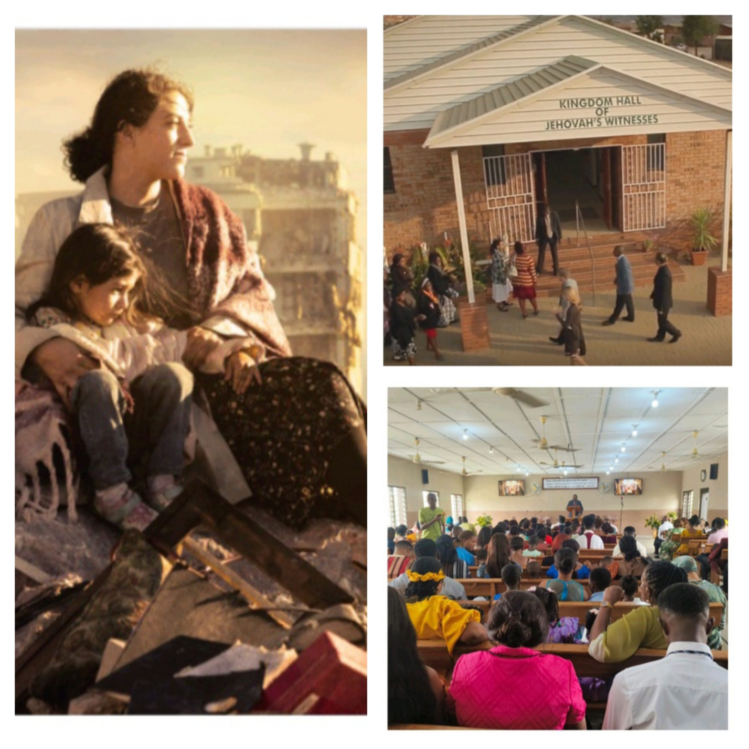 Jehovah’s Witnesses initiate worldwide campaign to share biblical solution to long-standing violence.