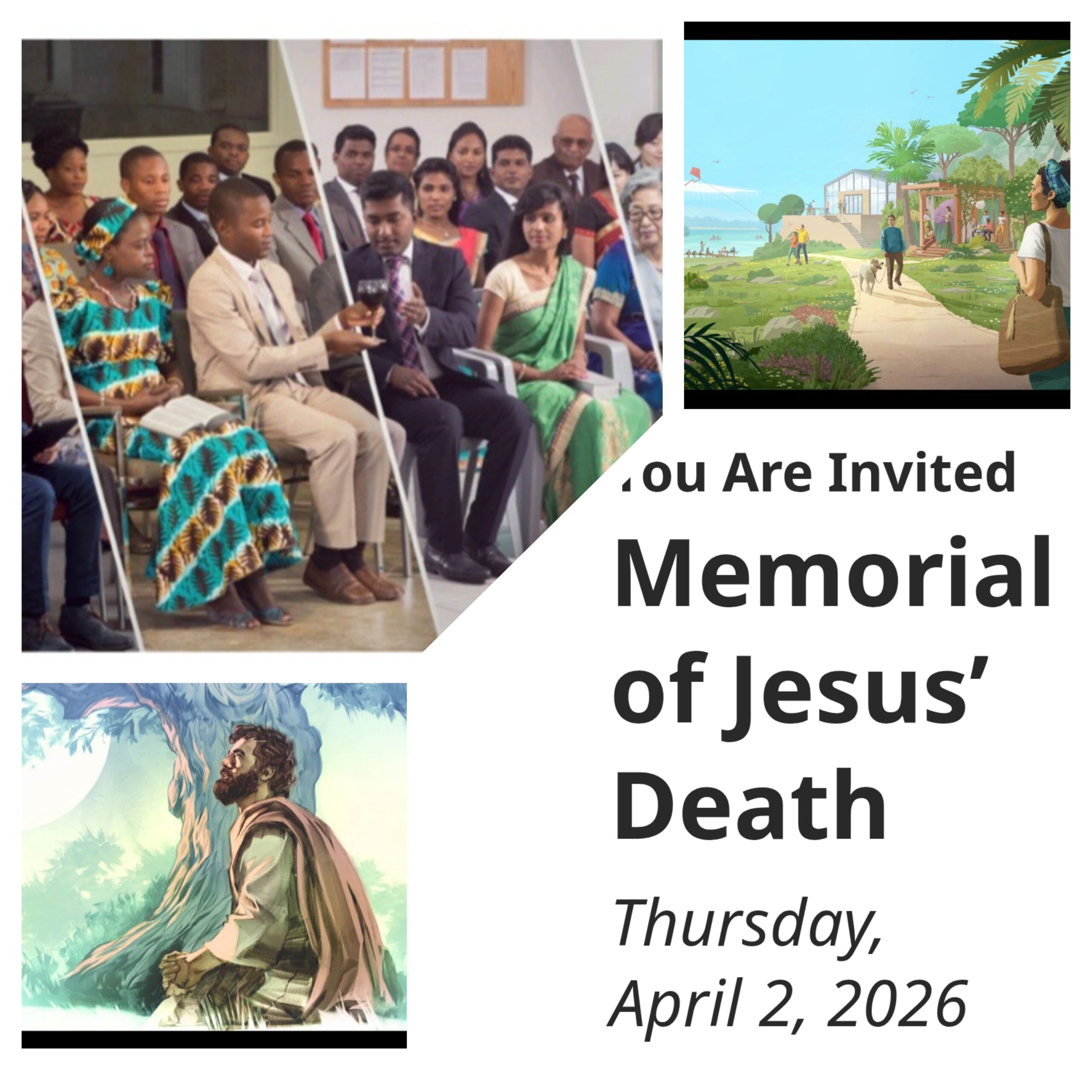 Jehovah’s Witnesses Launch Global Campaign Sharing Message of Hope.